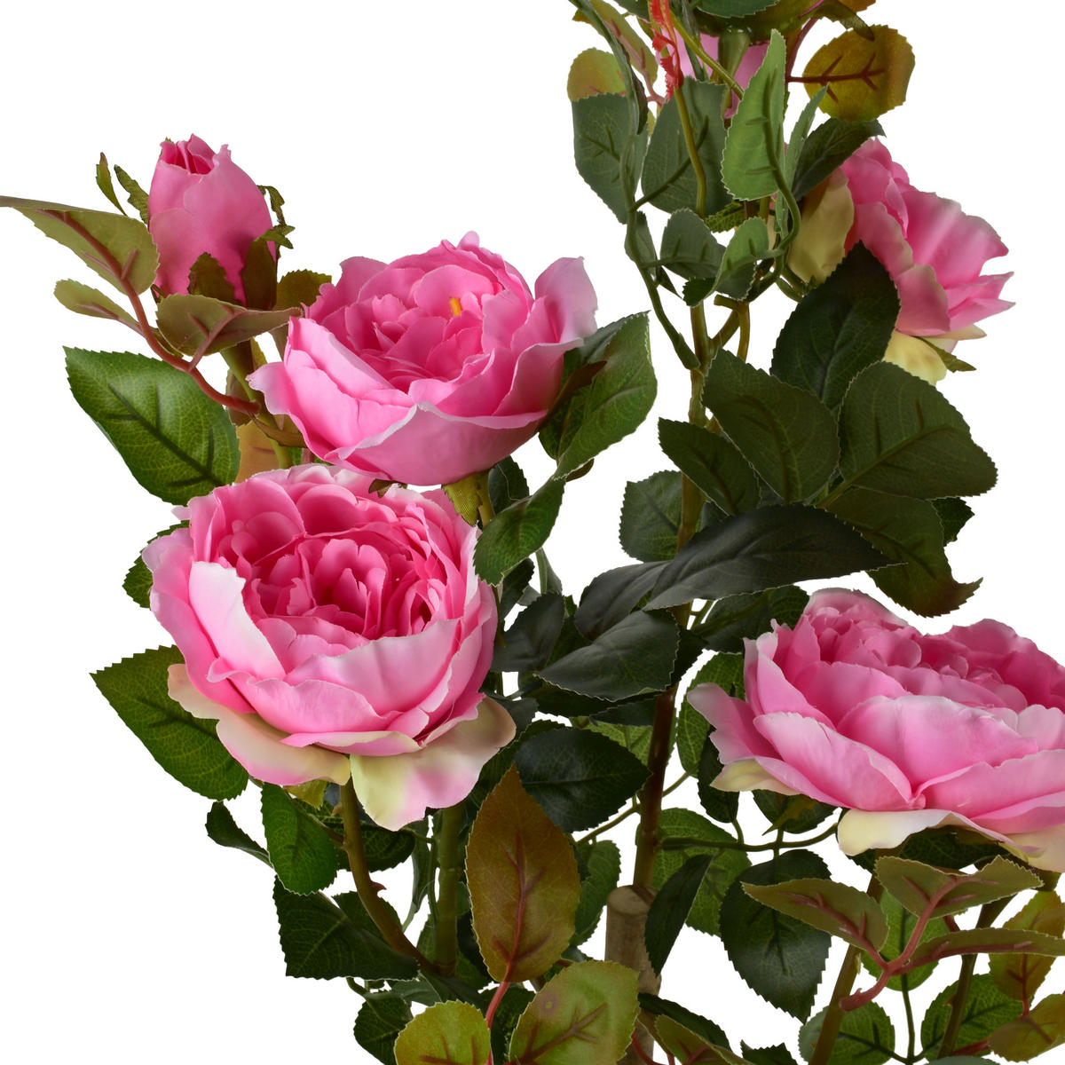 KUNSTBLUME Viridis Rosa 13x13x68 cm Kunststoff - Rosa, Kunststoff (68cm) - Mondex