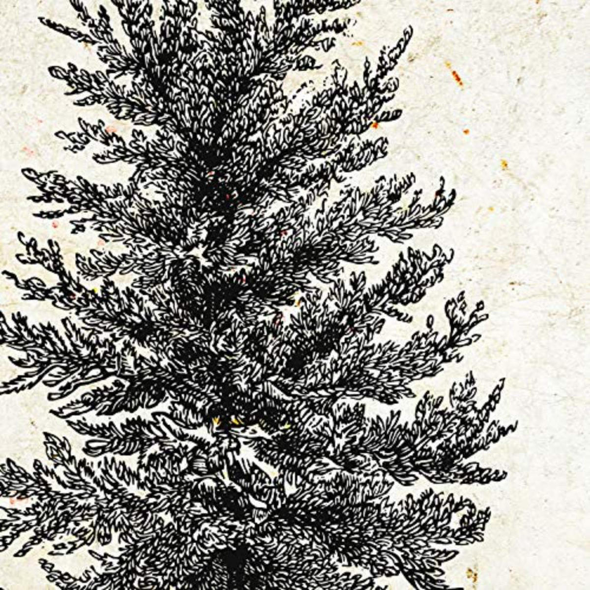 POSTER Set mit 4 Blättern der Bäume Zierbäume Jahrgang Hintergrund 20x20cm Rahmenlos - Klar, Papier (20/3cm) - Nacnic