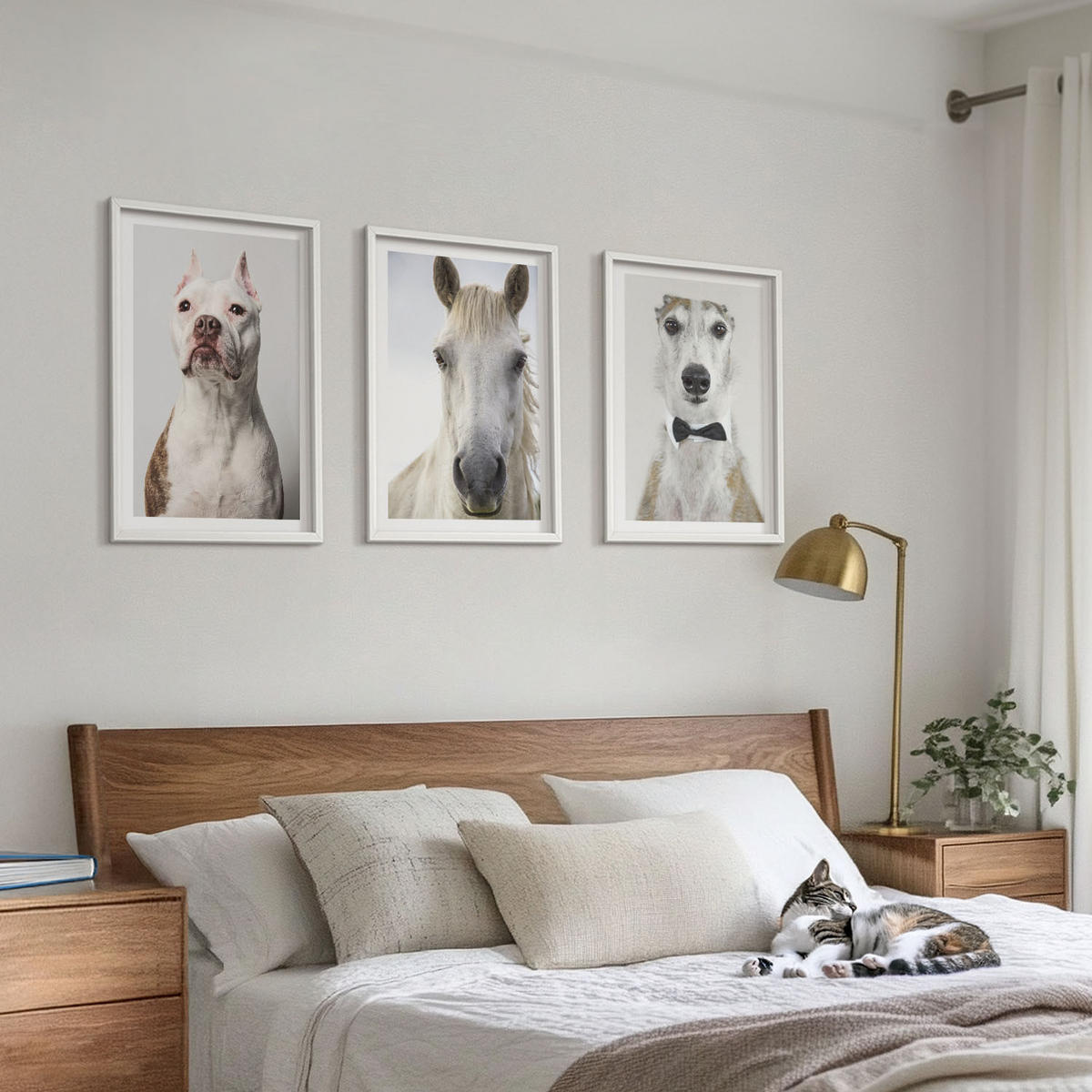 BILDER SET 3er Set - 40x60 cm Weißer Rahmen - Elegante Porträts von Hunden und Pferden - Weiß, Kunststoff (40/60cm) - TULUP