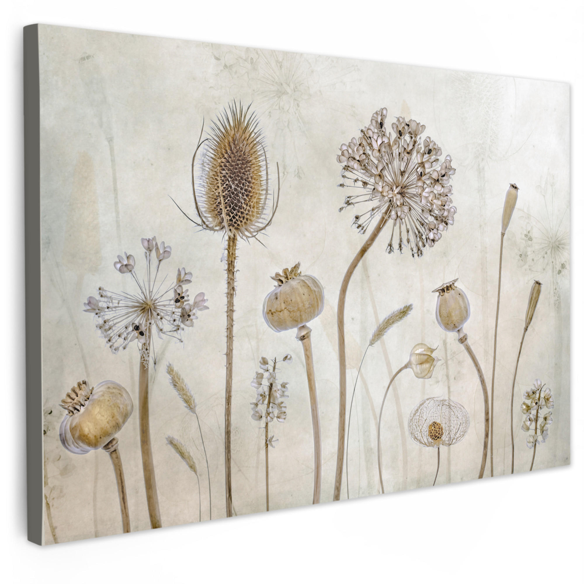 LEINWANDBILD Blumen - Aquarell - Stilleben - Braun - Vintage 30x20 cm - Beige, Textil (30/20cm) - MuchoWow