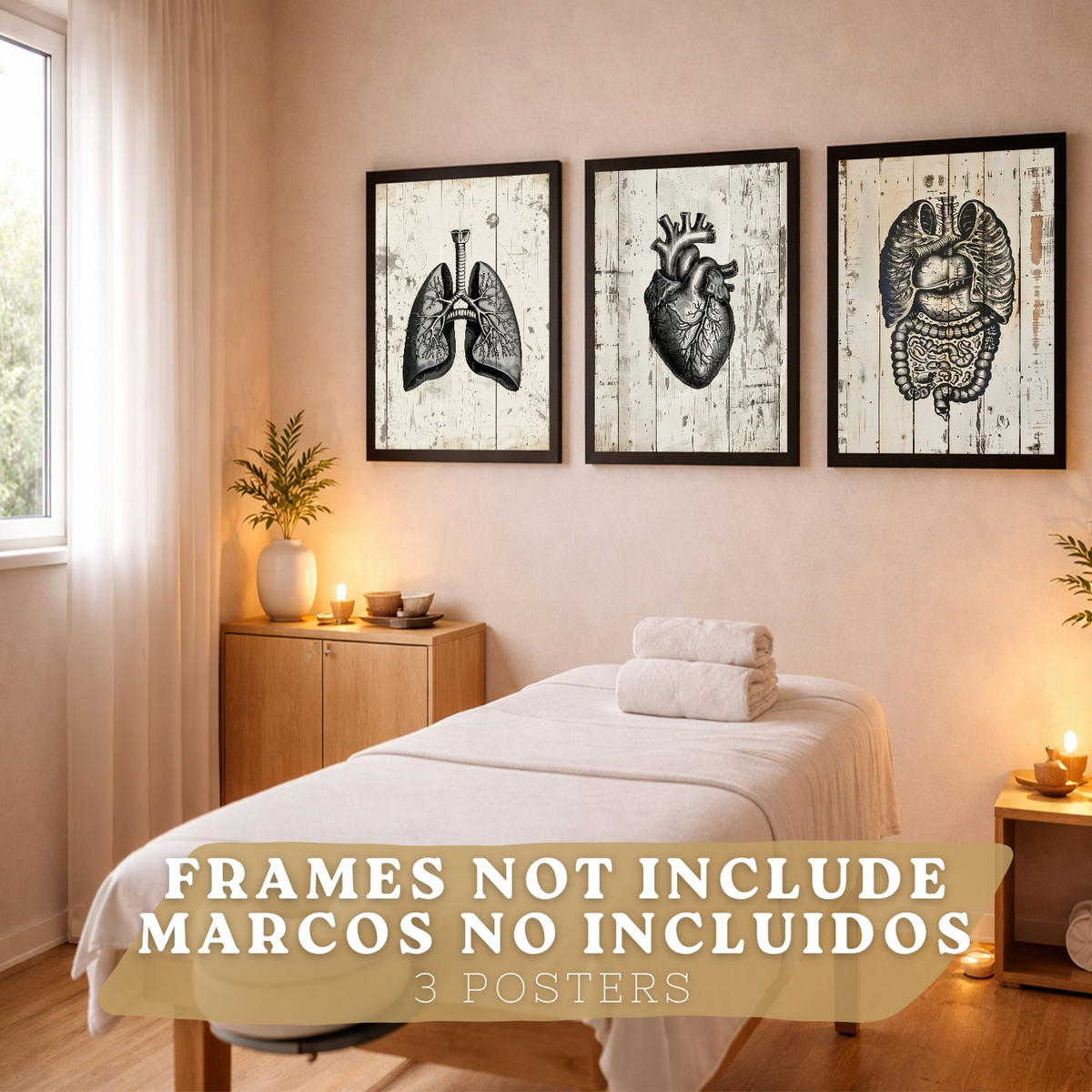 POSTER Set aus 3 Anatomie Mensch Drucke und Wandbilder mit Lungen Darm und Herz Rustikaler Stil Medizinische Wanddekoration Größe Rahmenlos A3 - Klar, Papier (29.7/42/3cm) - Nacnic