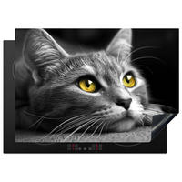 HERABDECKPLATTE - Katze - Grau - Tiere - Katze - 75x55 - Grau, Kunststoff (75/55/0.2cm) - MuchoWow