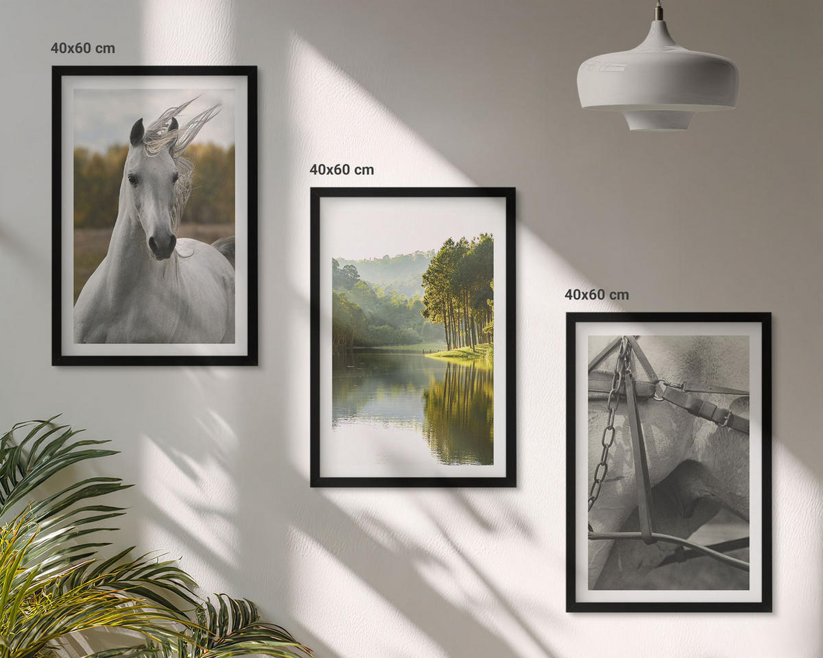 BILDER SET 3er Set - 40x60 cm Schwarzer Rahmen - Natur des Flusses White Horses - Schwarz, Kunststoff (40/60cm) - TULUP