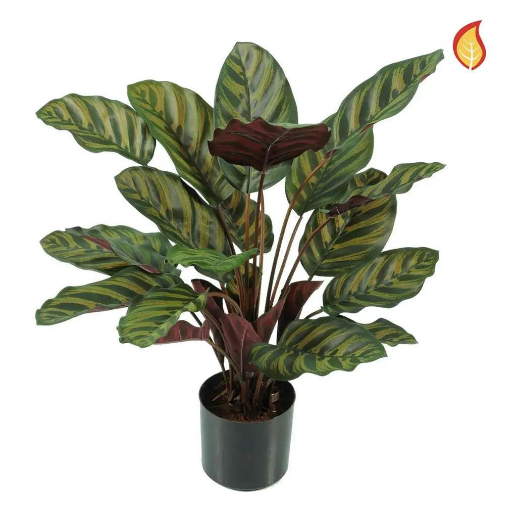 KÜNSTLICHE Calathea - Gernot 58 cm - Rot, Kunststoff (58cm) - aplanta