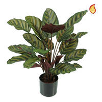 KÜNSTLICHE Calathea - Gernot 58 cm - Rot, Kunststoff (58cm) - aplanta