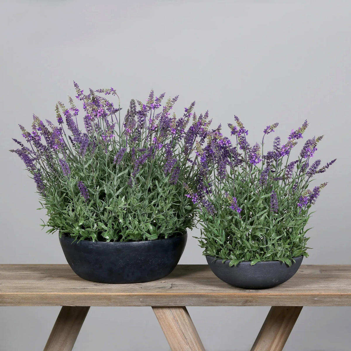 LAVENDEL Künstlicher Lavendel - Thorfinn 60 cm in grauer Schale - Lila, Kunststoff (60cm) - aplanta