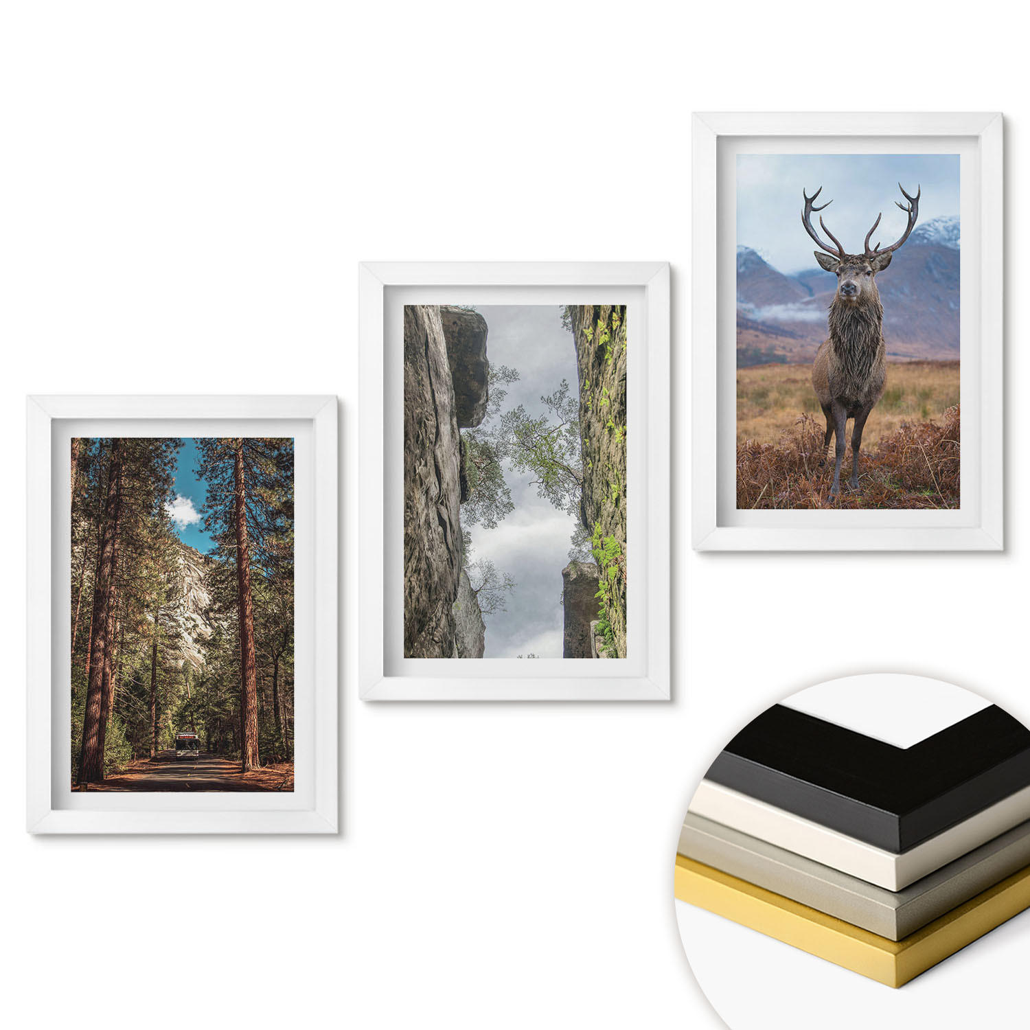 WANDBILDER 3er-Set - 20x30 cm Weißer Rahmen - Straße Wald Berge Hirsch Natur - Weiß, Kunststoff (20/30cm) - ArtPrintCave