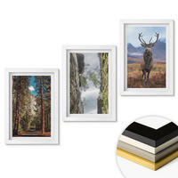 WANDBILDER 3er-Set - 20x30 cm Weißer Rahmen - Straße Wald Berge Hirsch Natur - Weiß, Kunststoff (20/30cm) - ArtPrintCave