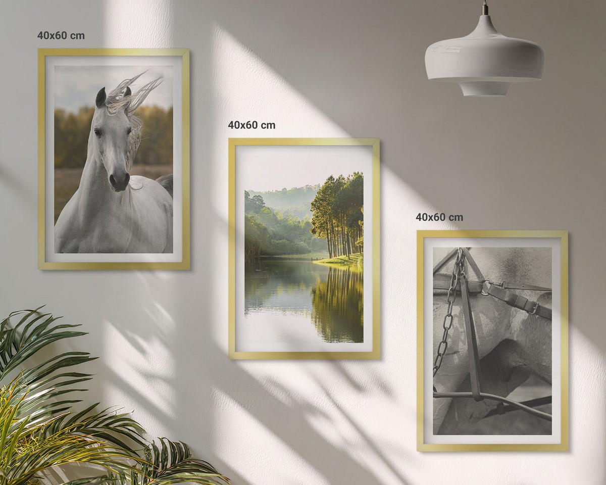 BILDER SET 3er Set - 40x60 cm Goldrahmen - Natur des Flusses White Horses - Goldfarben, Kunststoff (40/60cm) - TULUP