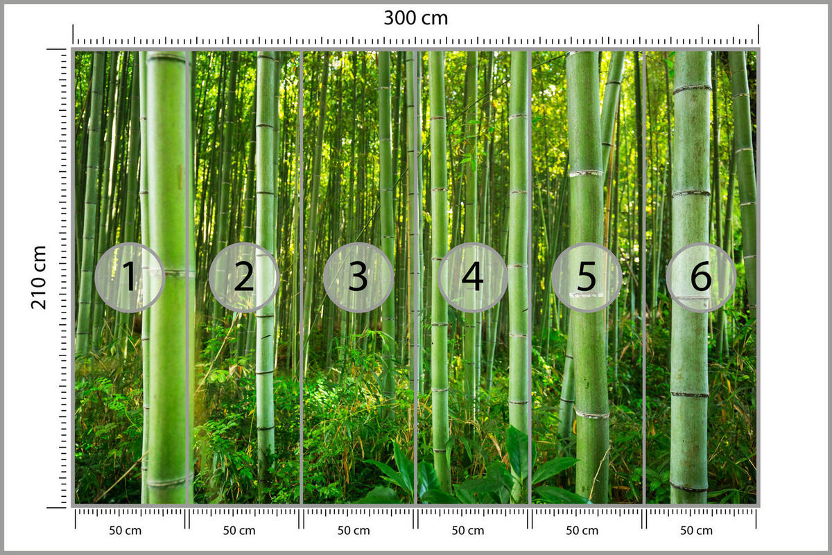 FOTOTAPETE Bambuswald Pflanzen Natur 3D 300x210 - Gelb/Grün, Papier (300/210cm) - Muralo