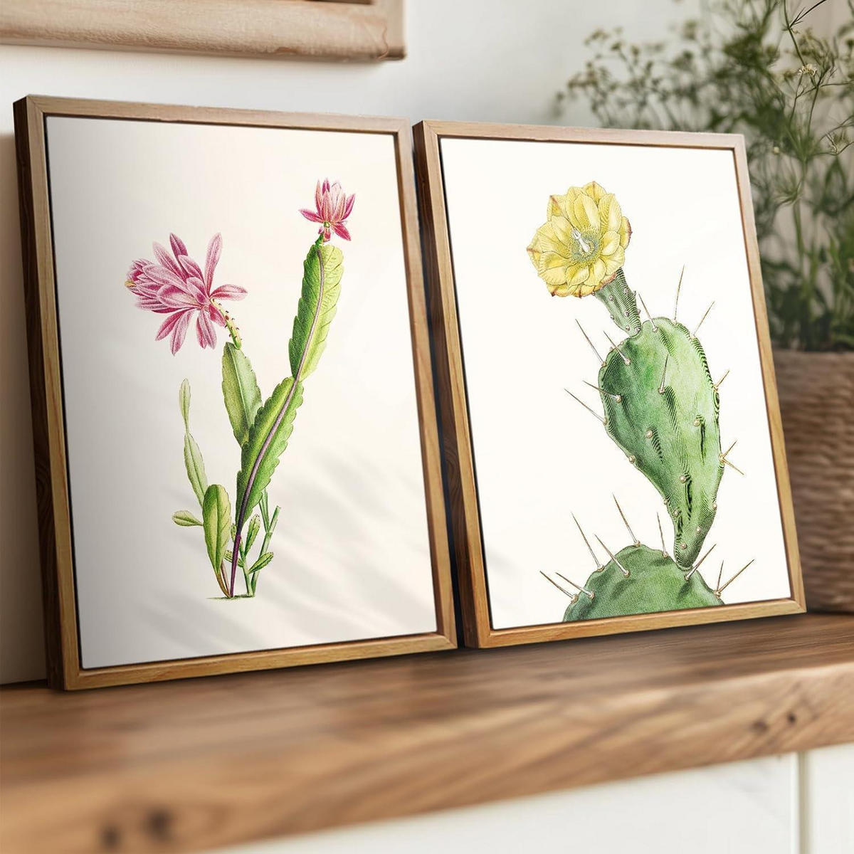 LEINWANDBILD mit Rahmen Botanisch Opuntie 20 x 25 cm - Grün, Holz (20/0.5cm)