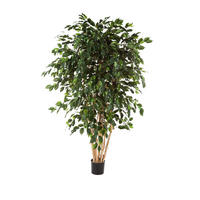 KÜNSTLICHER Ficus - Joel 180 cm - Grün, Kunststoff (180cm) - aplanta
