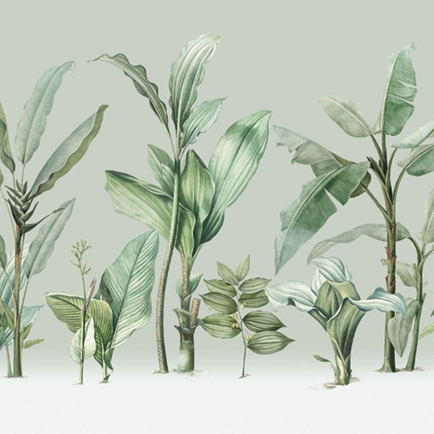 FOTOTAPETE Palmblätter 424 x 280 cm - Grün, Papier (424/280cm) - Sanders & Sanders