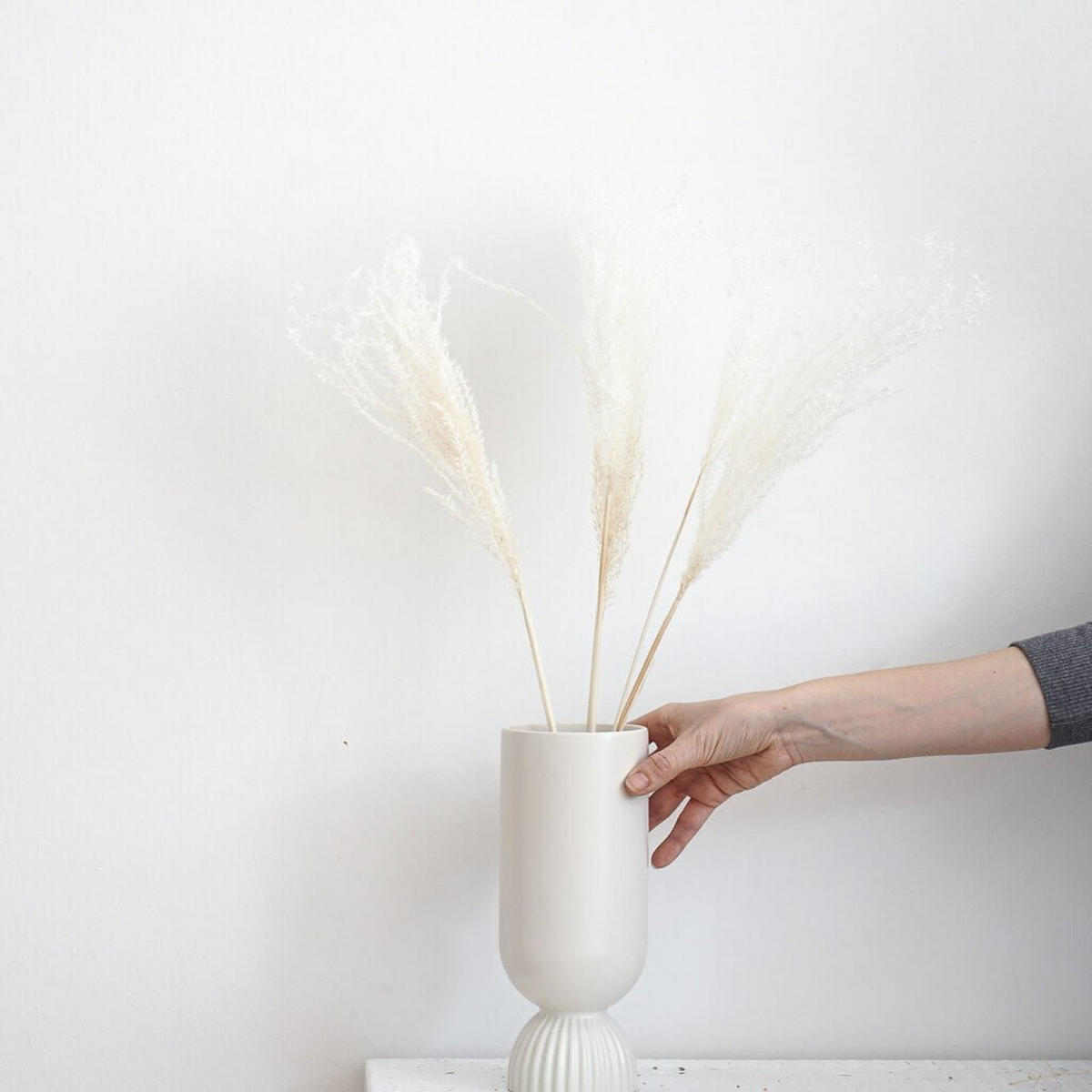 REED Gras: Boho-Chic - ein Hauch von Natürlichkeit für deine Vase - 1 Bund / weiß / 60 cm - Weiß, Naturmaterialien (60cm) - Lykke & You
