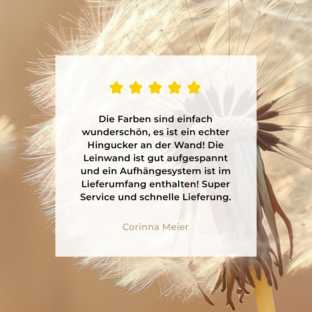 LEINWANDBILD Löwenzahn - Beige - Natur - Blume 150x100 cm - Hellbraun, Textil (150/100cm) - MuchoWow