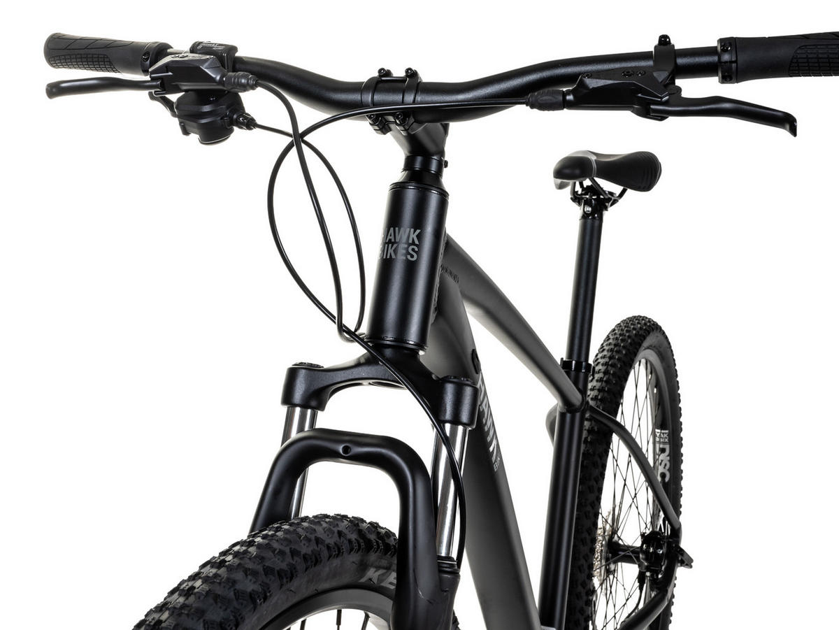 MOUNTAINBIKE Hawk Trail One 29er Black 9 Gang 29 Zoll Gr: S;M;L - Schwarz, Metall (48cm) - Hawk Bikes