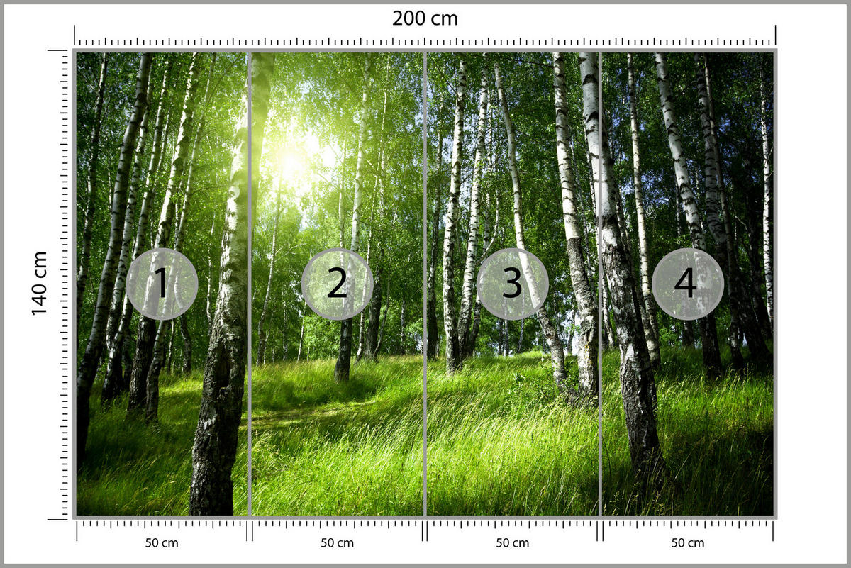 FOTOTAPETE für Wohnzimmer Grüner Birkenwald Gras Sonne Natur 200x140 - Schwarz/Weiß, Papier (200/140cm) - Muralo
