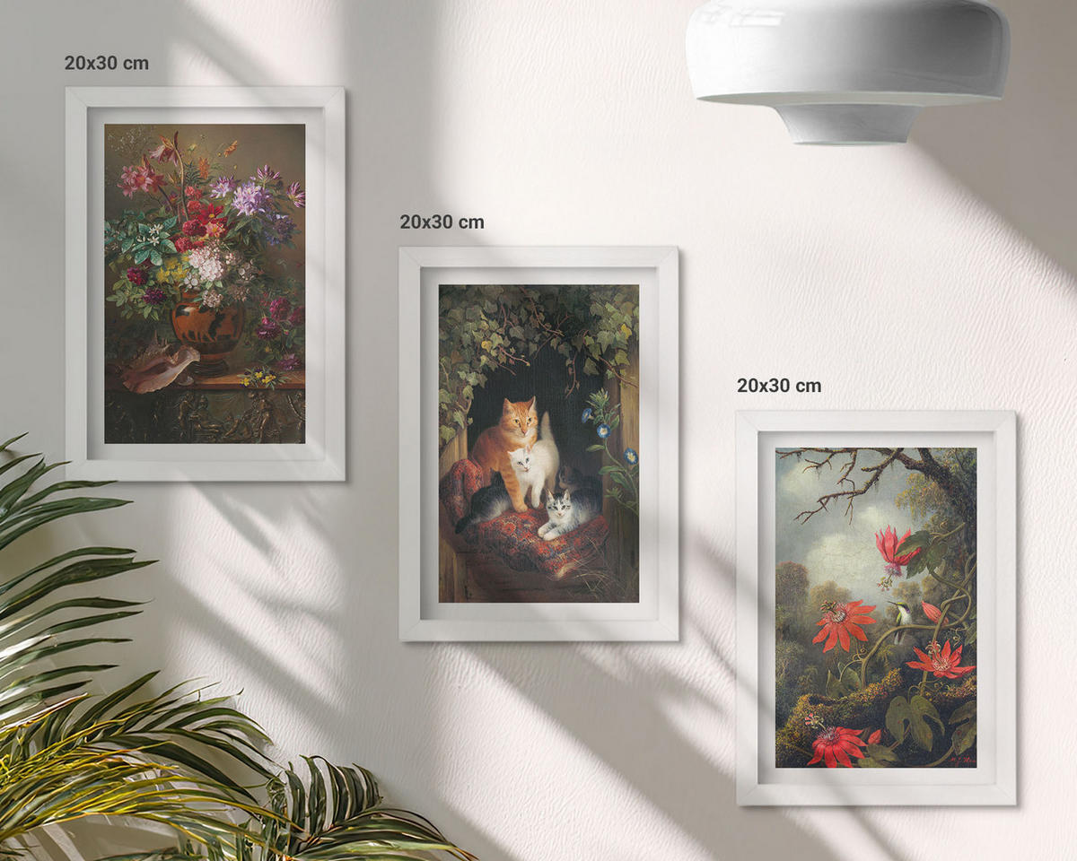 WANDBILDER 3er-Set - 20x30 cm Weißer Rahmen - Vintage-Blumen, Katzen, Natur - Weiß, Kunststoff (20/30cm) - ArtPrintCave