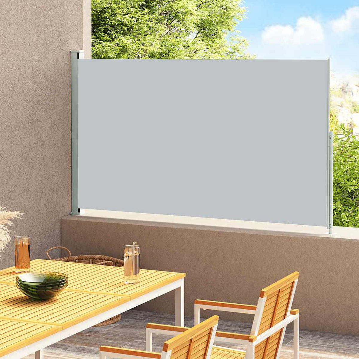 SEITENMARKISE Ausziehbar 220x300 cm Grau - Grau, Textil (300/220/300cm) - furnicato