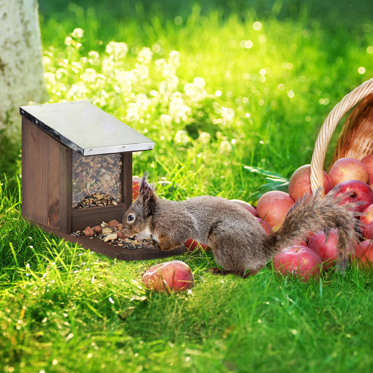 EICHHÖRNCHEN Futterhaus - Dunkelbraun, Holz/Kunststoff (12/18/25cm) - Relaxdays