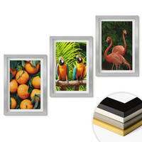 WANDBILDER 3er Set - 20x30 cm Silberner Rahmen - Fruchtige Akzente in den Tropen - Silberfarben, Kunststoff (20/30cm) - ArtPrintCave