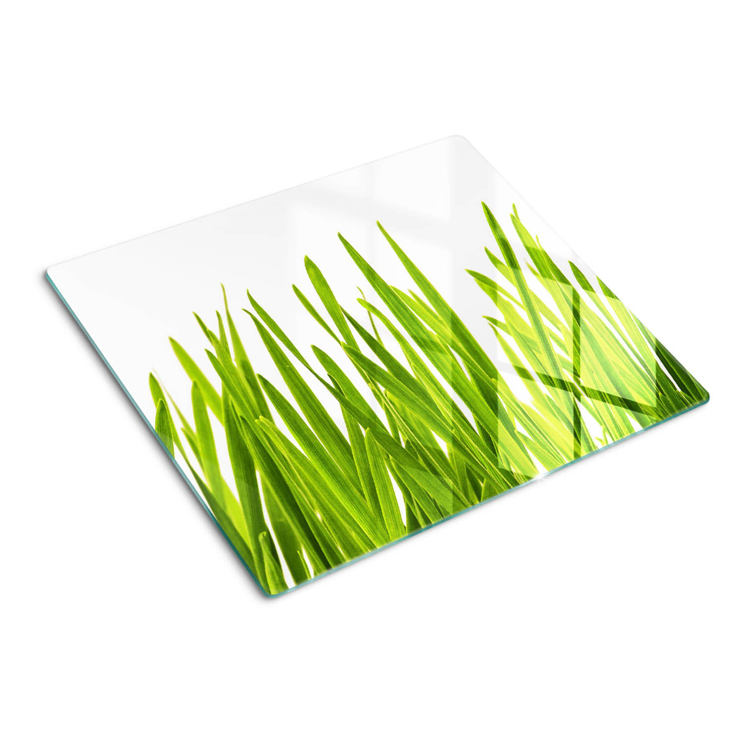 GLASPLATTE 60x52 cm Gras - Grün, Glas (60/0.4/52cm) - TULUP