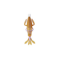 WANDDEKO Bernstein-Garnele 15/35.5 cm - Multicolor, Wellpappe (15/35.5/13cm) - KUNSTLOFT