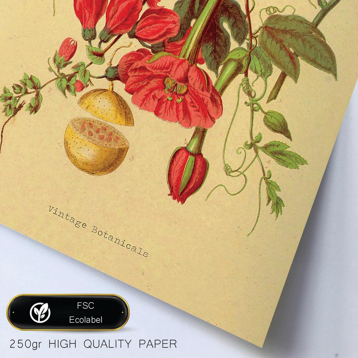 POSTER Set Mit 6 Rote Blumen In Vintage A3 & A4 Rahmen Aus Hellem Holz - Beige, Papier (29/3cm) - Nacnic
