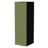 HÄNGESCHRANK Brerra W4/30 Schwarz / RAL 6025 farngrün Matt 30 / 32,5 / 96cm - Schwarz/Grün, Holz/Holzwerkstoff (30/96/32.5cm) - Feldmann-Wohnen