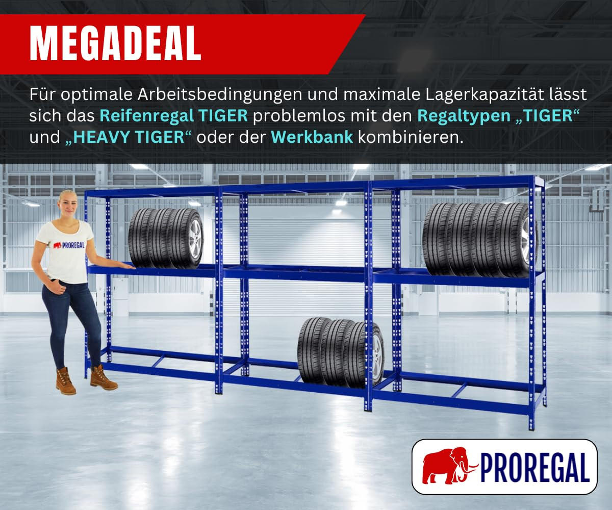 REIFENREGAL Tiger 180x130x50 cm bis zu 12 Reifen auf 2 Ebenen + Ablage Blau - Blau, Metall (130/180/50cm) - PROREGAL
