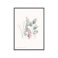 POSTER mit Rahmen Disney - Disney's Piglet Among Dandelions - Multicolor/Schwarz, Holz/Papier (30/40cm) - Poster&Frame