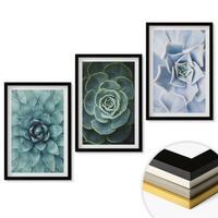 WANDBILDER 3er-Set - 40x60 cm Schwarzer Rahmen - Sukkulente Pflanzen grün türkis - Schwarz, Kunststoff (40/60cm) - ArtPrintCave