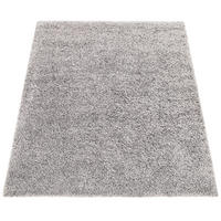HOCHFLORTEPPICH 140/200 cm Arezzo 680 - Grau, Textil (140/200cm) - Paco Home