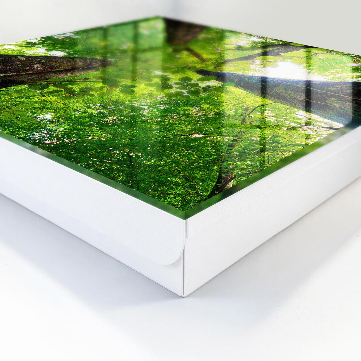 SCHLÜSSELBOX Weiß 30x30 cm – Türöffnung nach rechts - Waldhimmel - Grün, Metall (30/30/5cm) - TULUP