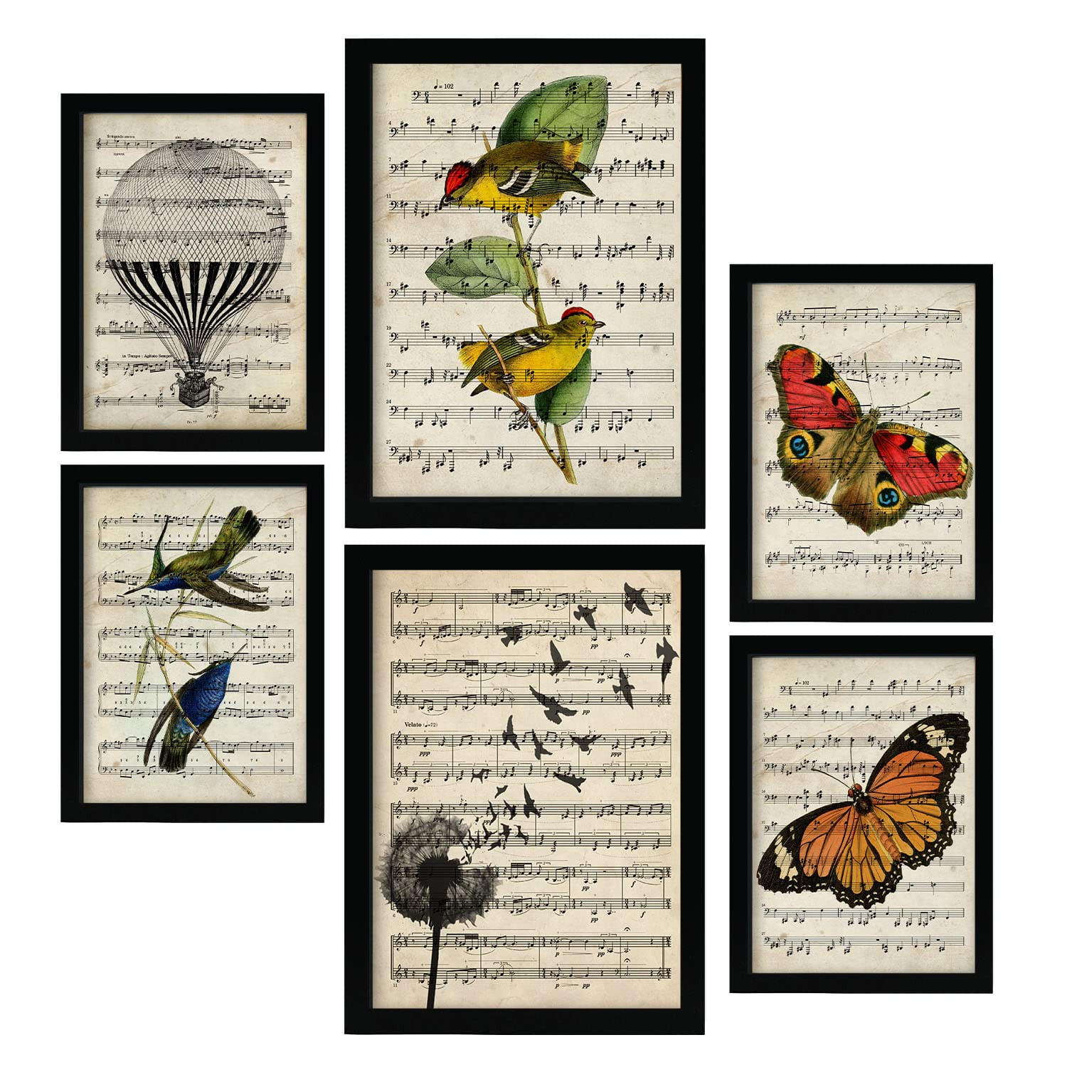 POSTER Set Mit 6 Noten Vintage Papier Stil Natur Und Flug, Vögel Und Schmetterlinge A3 & A4 Rahmenlos - Klar, Papier (29/3cm) - Nacnic