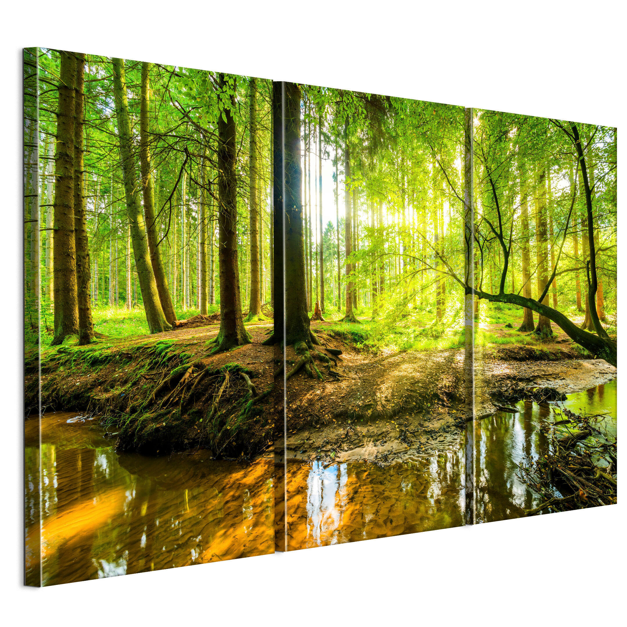 LEINWANDBILD Wald 3-tlg. 90x60 cm - Multicolor, Holz (90/60cm) - LUMASOUL