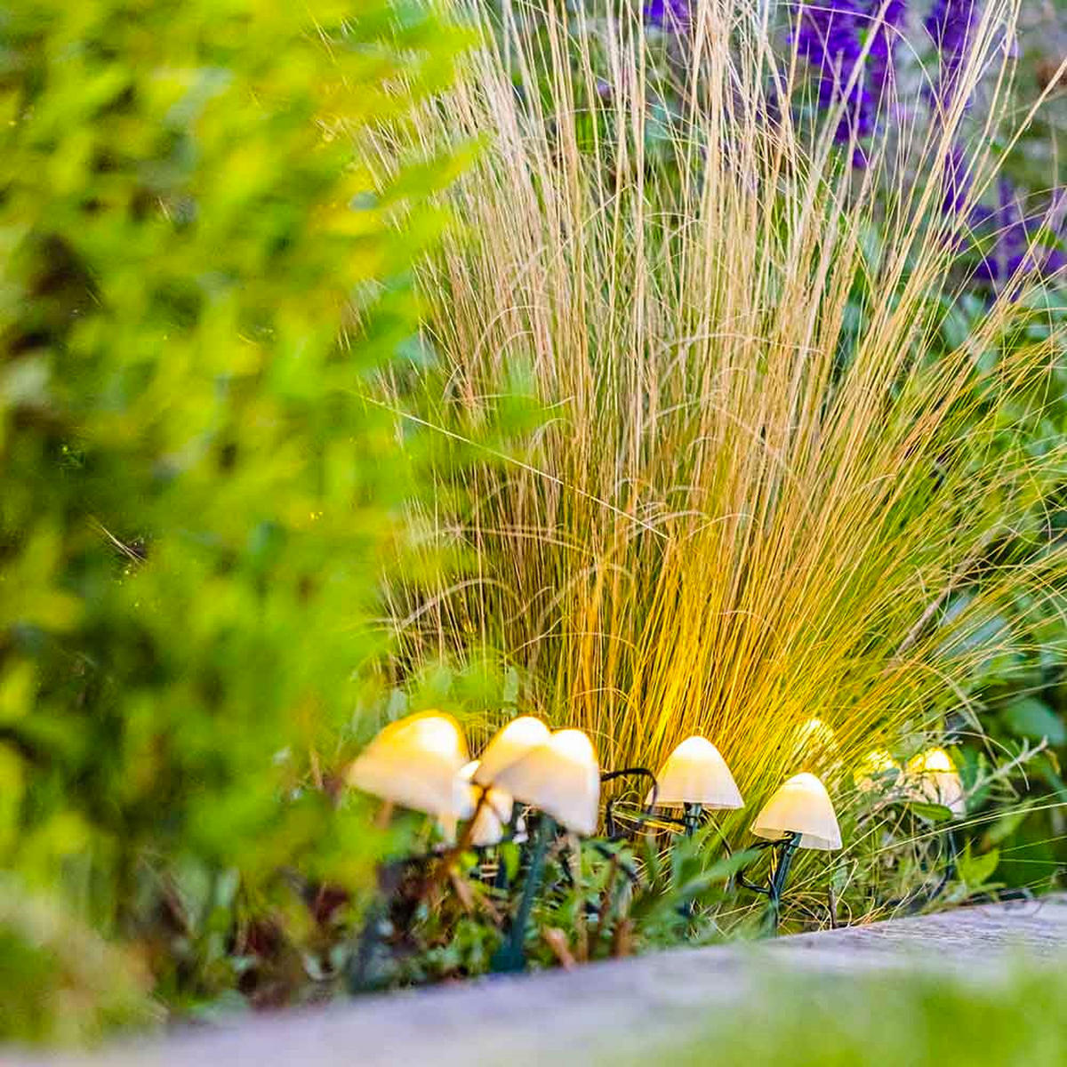 LICHTERKETTE CHAMPY weiß - Weiß, Kunststoff (380/1/20cm) - Lumisky