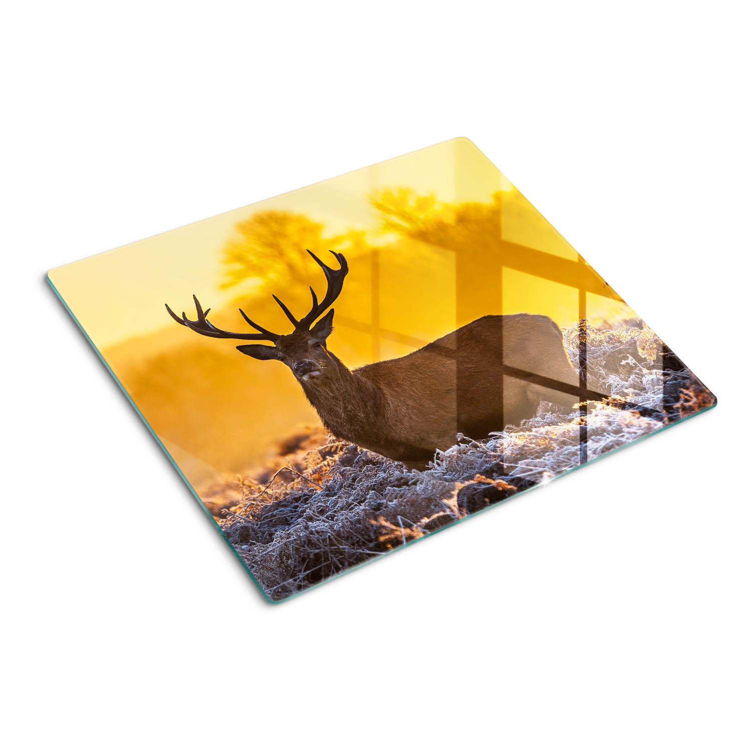 GLASPLATTE 60x52 cm Sonnenaufgang über dem Hirsch - Orange, Glas (60/0.4/52cm) - TULUP