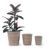 KERAMIKBLUMENTÖPFE, 3-teilig, 40,5/32/24cm, geriffelt, graubraun - Grau, Keramik (40.5/40.5/40.5cm) - Vallsero