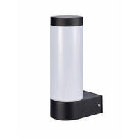 AUSSENWANDLEUCHTE Anthrazit Dunkelgrau E27 Opal Diffusor IP44 - Dunkelgrau/Anthrazit, Metall (8/22/12cm) - CGC Europe