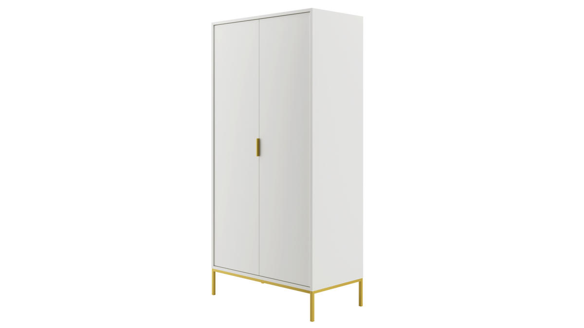 DREHTÜRENSCHRANK Austin - Weiß, Holzwerkstoff (55/205/100cm) - RAUMHIRSCH FURNITURE