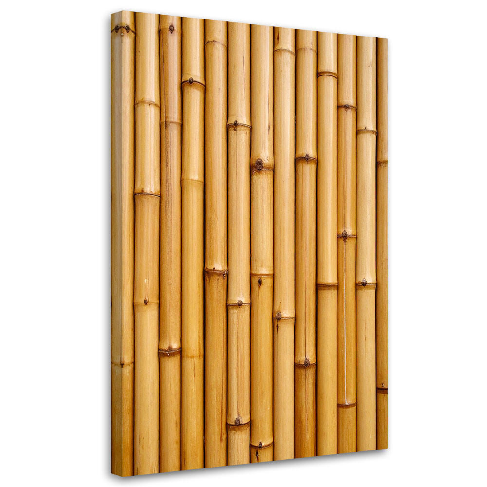 LEINWANDBILD Bambus Pflanze Natur 70x100cm - Beige, Textil (70/100cm) - Feeby