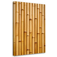 LEINWANDBILD Bambus Pflanze Natur 70x100cm - Beige, Textil (70/100cm) - Feeby