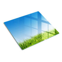 GLASPLATTE 60x52 cm Gras - Grün, Glas (60/0.4/52cm) - TULUP