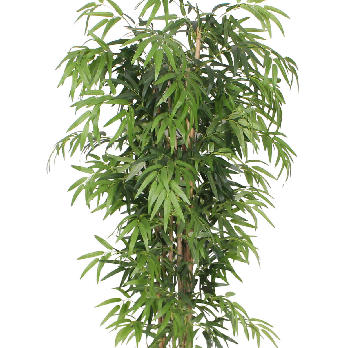 KUNSTPFLANZE Bambus 180 cm - Grün, Kunststoff (180cm)