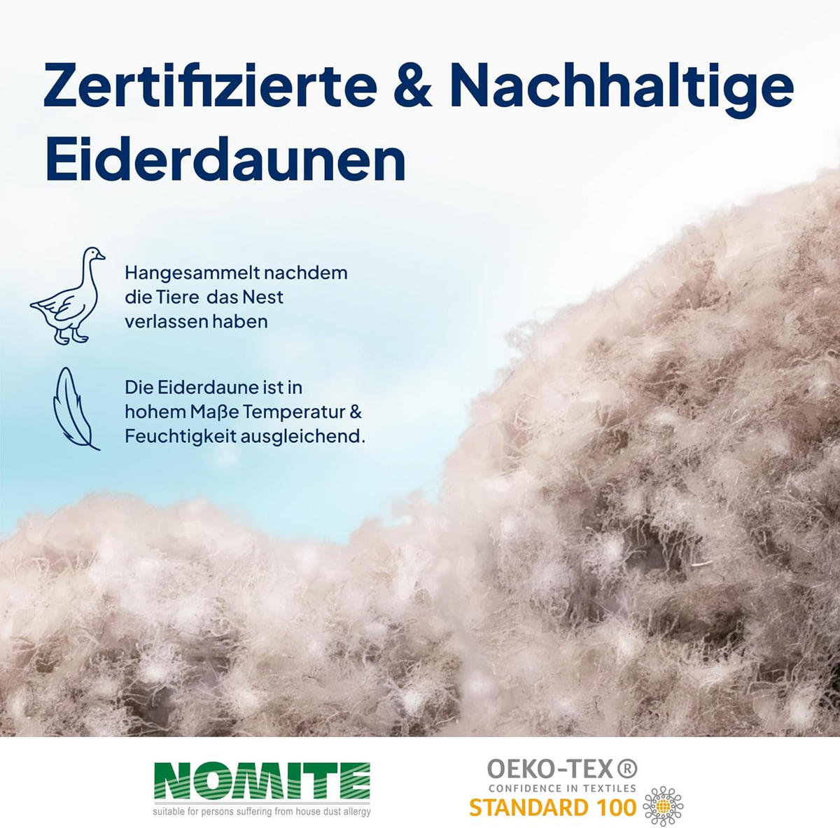 EIDERDAUNENDECKE 155/220 cm Weiß - Weiß, Textil (155/220cm) - AM Qualitätsmatratzen