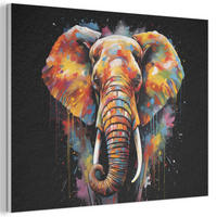 AKUSTIKBILD Elefant - Graffiti - Schwarz - Tiere - Farben Wanddeko 70x50 cm - Schwarz, Kunststoff (70/50/0.9cm) - MuchoWow