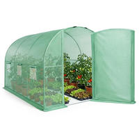 TUNNELGEWÄCHSHAUS mit Metalltür, Grün, 200x300x200 cm - Grün, Metall (200/200/300cm) - Akord