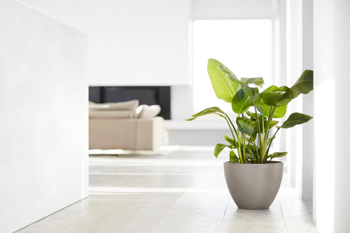 BLUMENTOPF Antwerp 39,7/30 cm Taupe - Taupe, Kunststoff (39.7/30cm) - Ecopots