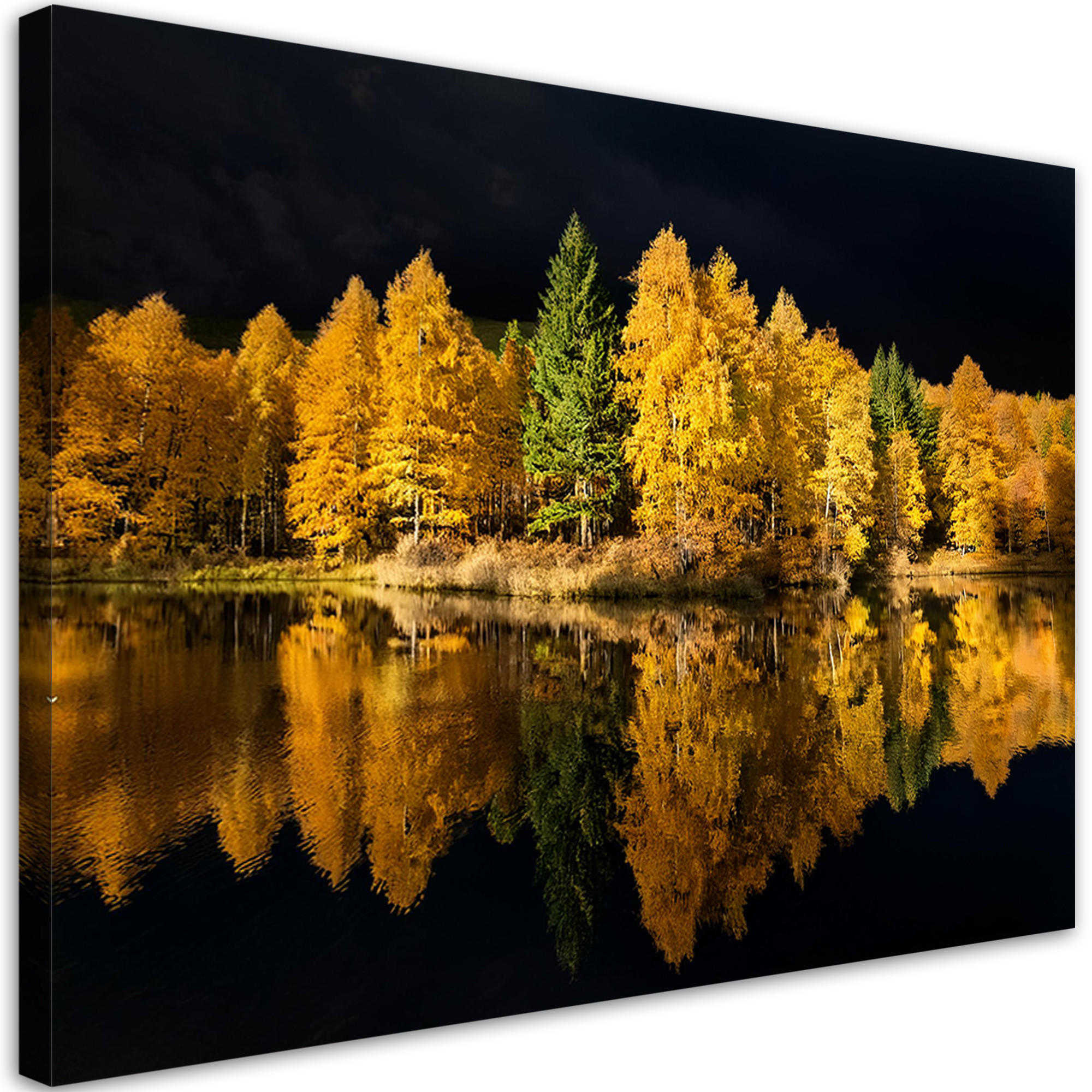 WANDBILD waldseebäume natur - Gelb, Textil (60/40cm) - Feeby